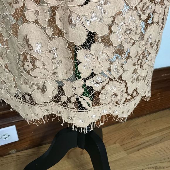 Beautiful NWT NSR Dress - Picture 12 of 14